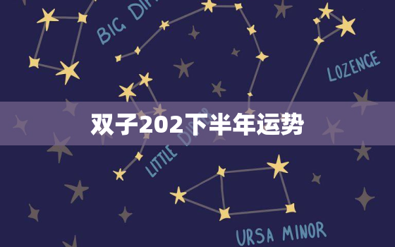 双子202下半年运势