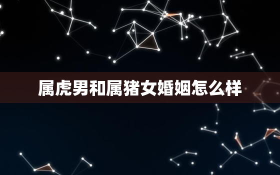 属虎男和属猪女婚姻怎么样，属虎男和属猪女的婚姻怎么样