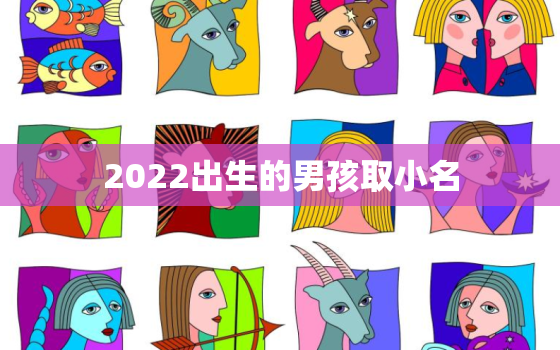 2022出生的男孩取小名，2022年出生的男孩起名