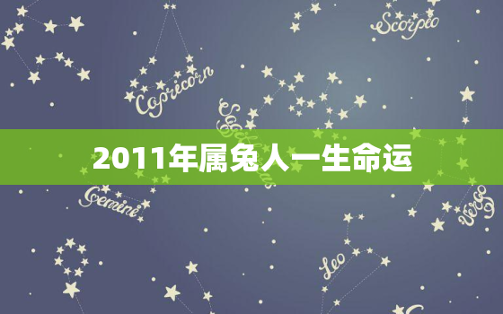 2011年属兔人一生命运，属兔人2012年运势