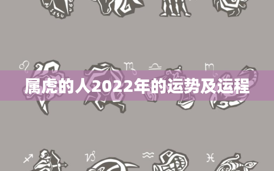 属虎的人2022年的运势及运程，属虎在2022年的运势