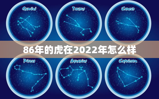 86年的虎在2022年怎么样，1998年的虎在2022年怎么样