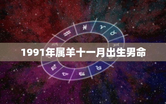 1991年属羊十一月出生男命，1991年属羊十月是什么命运