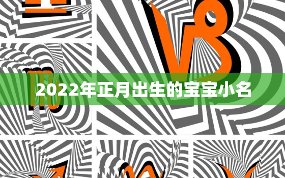 2022年正月出生的宝宝小名，年底生的孩子小名