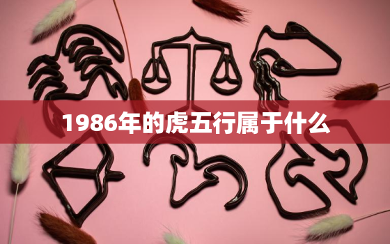 1986年的虎五行属于什么，1986年虎的五行属性是什么