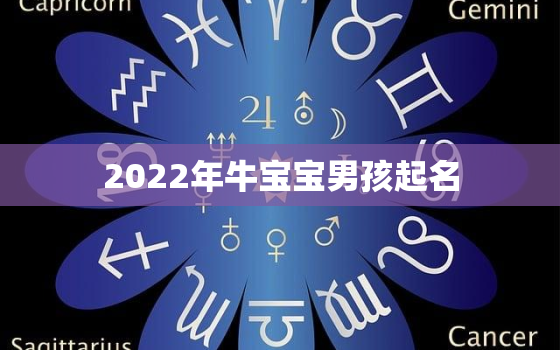 2022年牛宝宝男孩起名，2020牛宝宝男孩名字