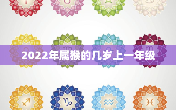 2022年属猴的几岁上一年级，属猴的今年几岁2020