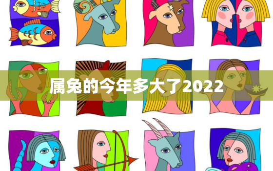 属兔的今年多大了2022 视频，属兔多大了今年多大了2020