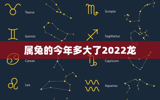 属兔的今年多大了2022龙，今年属兔的多大2020