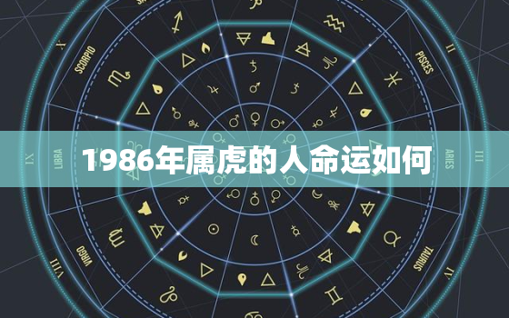 1986年属虎的人命运如何，1986虎年出生的人命运如何