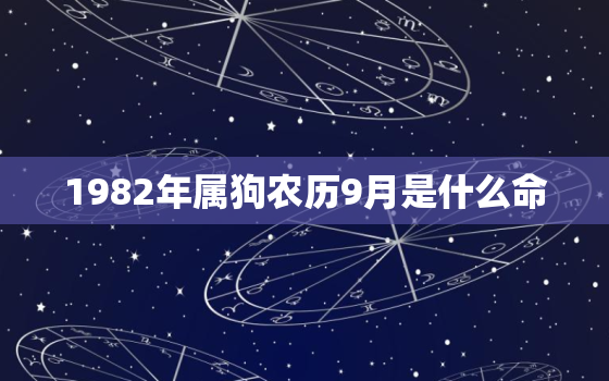 1982年属狗农历9月是什么命，1982年9月的狗是什么命