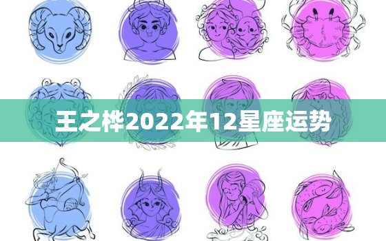 王之桦2022年12星座运势