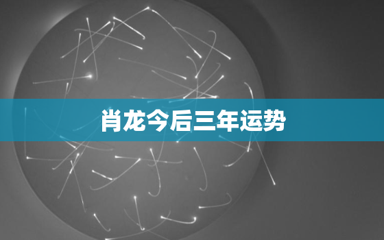 肖龙今后三年运势，李居明属龙未来三年运势