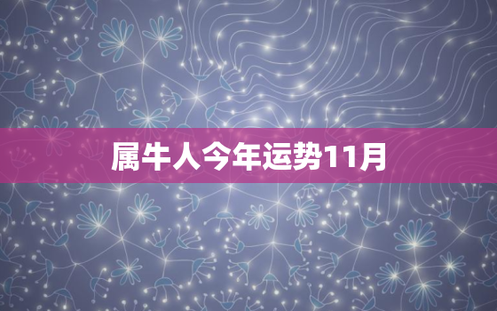 属牛人今年运势11月