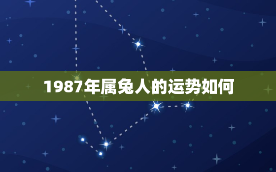 1987年属兔人的运势如何