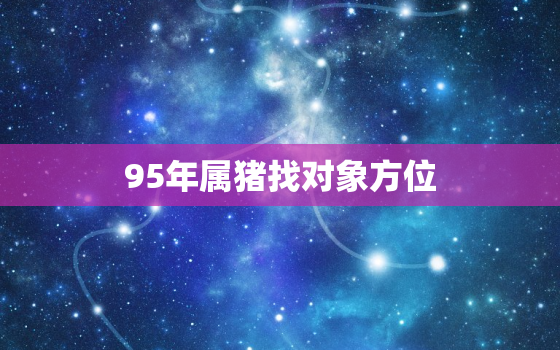 95年属猪找对象方位，95年属猪的男什么时候有对象