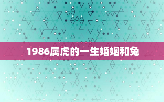 1986属虎的一生婚姻和兔，1987年兔与1986老虎