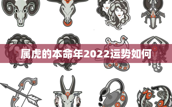 属虎的本命年2022运势如何，2022年属虎本命年的人命运如何