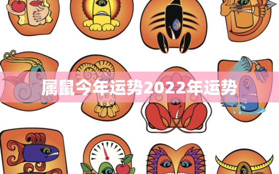 属鼠今年运势2022年运势，2022年属鼠运势及运程