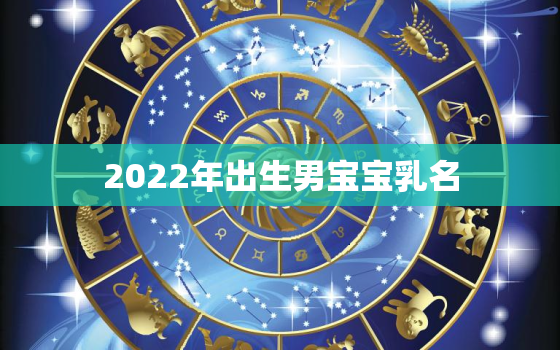 2022年出生男宝宝乳名，2022年出生的男孩起名