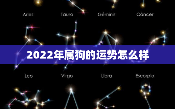 2022年属狗的运势怎么样，属狗2022年运势及运程每月运程