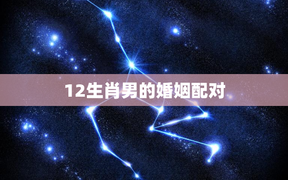 12生肖男的婚姻配对，属相婚配十二生肖配对属相婚姻配对查询