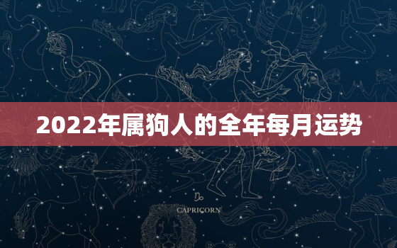 2022年属狗人的全年每月运势，2022年属狗人每月运势及运程