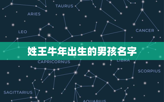 姓王牛年出生的男孩名字，牛年王姓男孩最合适的名字