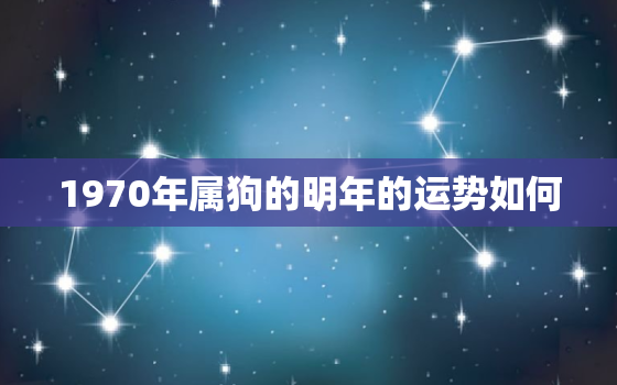 1970年属狗的明年的运势如何，19702021年属狗人的全年运势