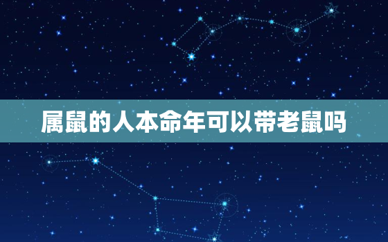 属鼠的人本命年可以带老鼠吗，属老鼠的命好吗