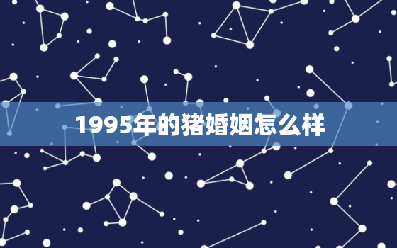 1995年的猪婚姻怎么样，1995年生肖猪的婚姻怎么样