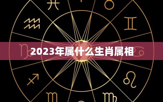 2023年属什么生肖属相，2023年的生肖