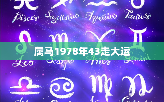 属马1978年43走大运，属马1978年43走大运2020每个月