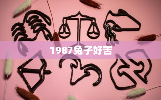 1987兔子好苦，1987属兔几月命苦