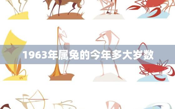 1963年属兔的今年多大岁数，属兔的1963年的今年多大了