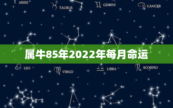 属牛85年2022年每月命运，85年属牛的2022年怎么样