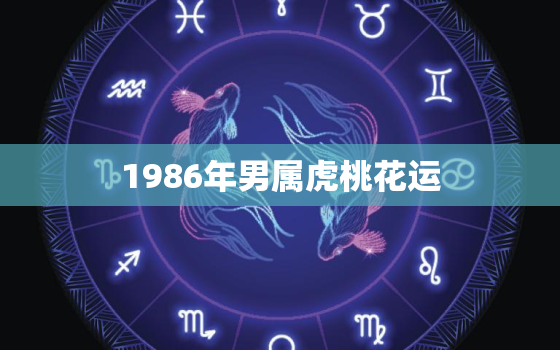 1986年男属虎桃花运，1986年属虎人的桃花位