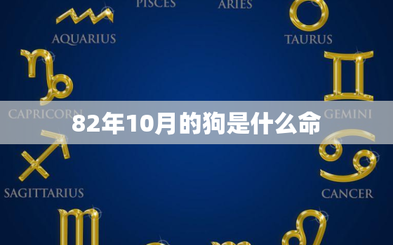 82年10月的狗是什么命，82年农历10月12是什么命