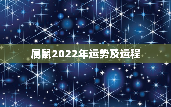 属鼠2022年运势及运程，60年属鼠2022年运势及运程