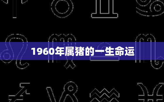 1960年属猪的一生命运，1960年属猪是什么命