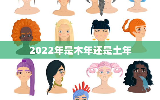 2022年是木年还是土年，2022年是金年还是土年