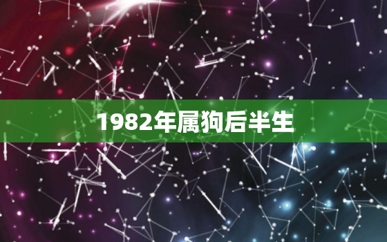 1982年属狗后半生，1982年属狗后半生女