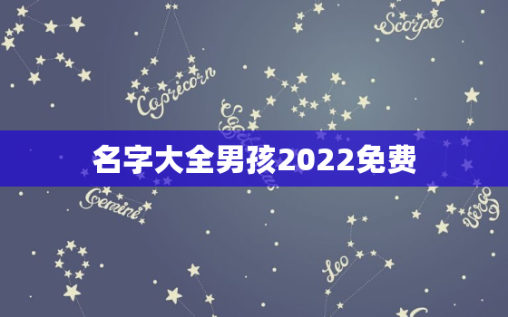 名字大全男孩2022免费，男孩名字大全2021最新版的