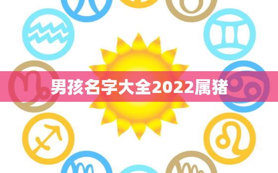 男孩名字大全2022属猪，宝宝名字大全2019属猪