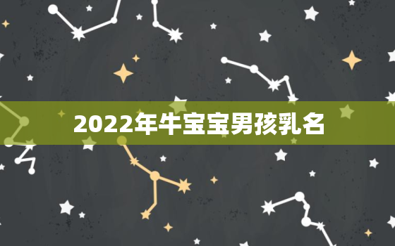 2022年牛宝宝男孩乳名，牛宝宝乳名大全2021洋气男孩