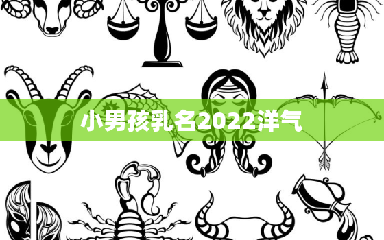 小男孩乳名2022洋气，2020年男孩小乳名字