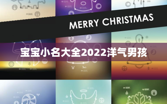 宝宝小名大全2022洋气男孩，男宝宝小名大全2020洋气