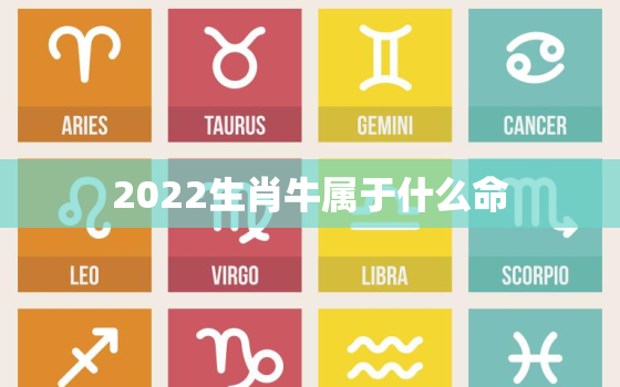 2022生肖牛属于什么命，属牛的2022年