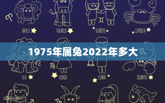 1975年属兔2022年多大，1975年属兔的人在2021年运势