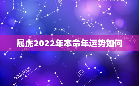 属虎2022年本命年运势如何，2022年属虎本命年的人命运如何